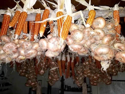 L'originale soffitto della nostra cucina dai nostri orti