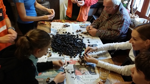 Dal camino alla tavola: le caldarroste sono servite